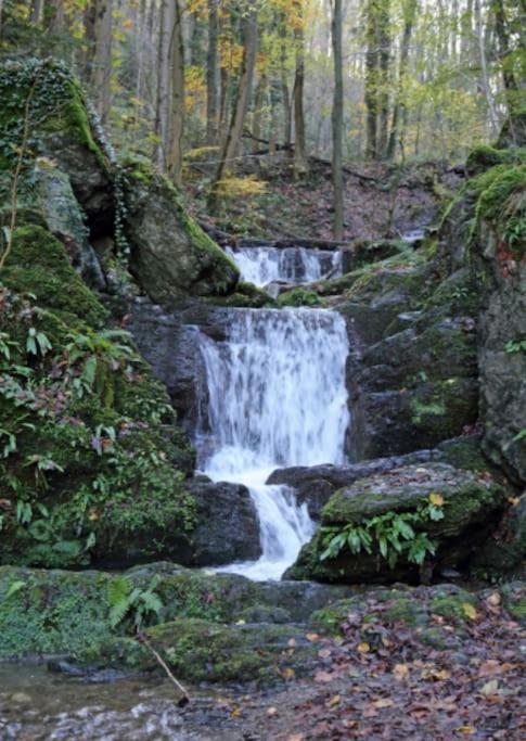 Laissez-Vous Enchanter Par La Vallee De La Meuse Hastiere-par-dela ภายนอก รูปภาพ